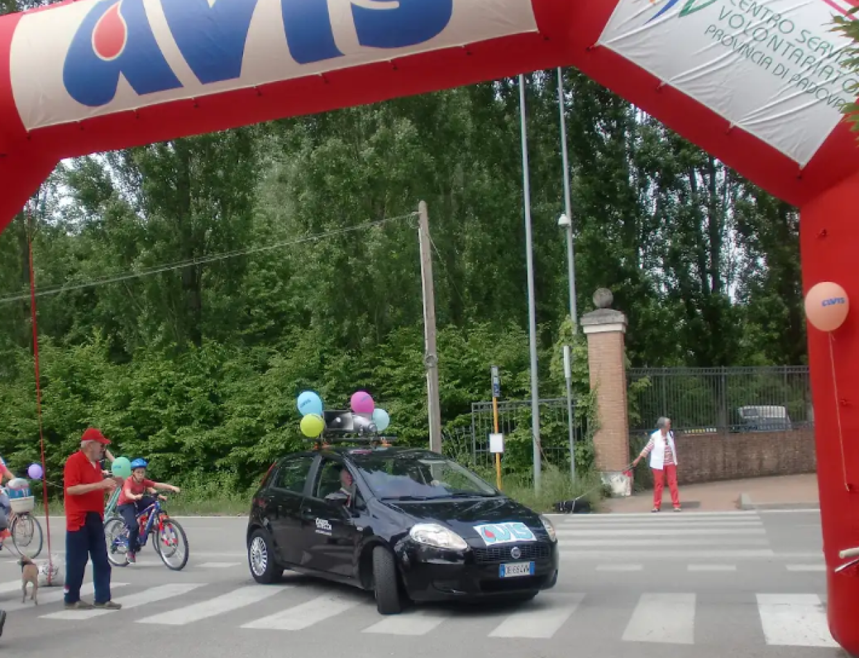 Avis Pionca e Codiveno